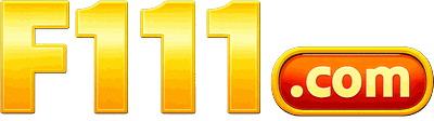 bdf111.net Logo